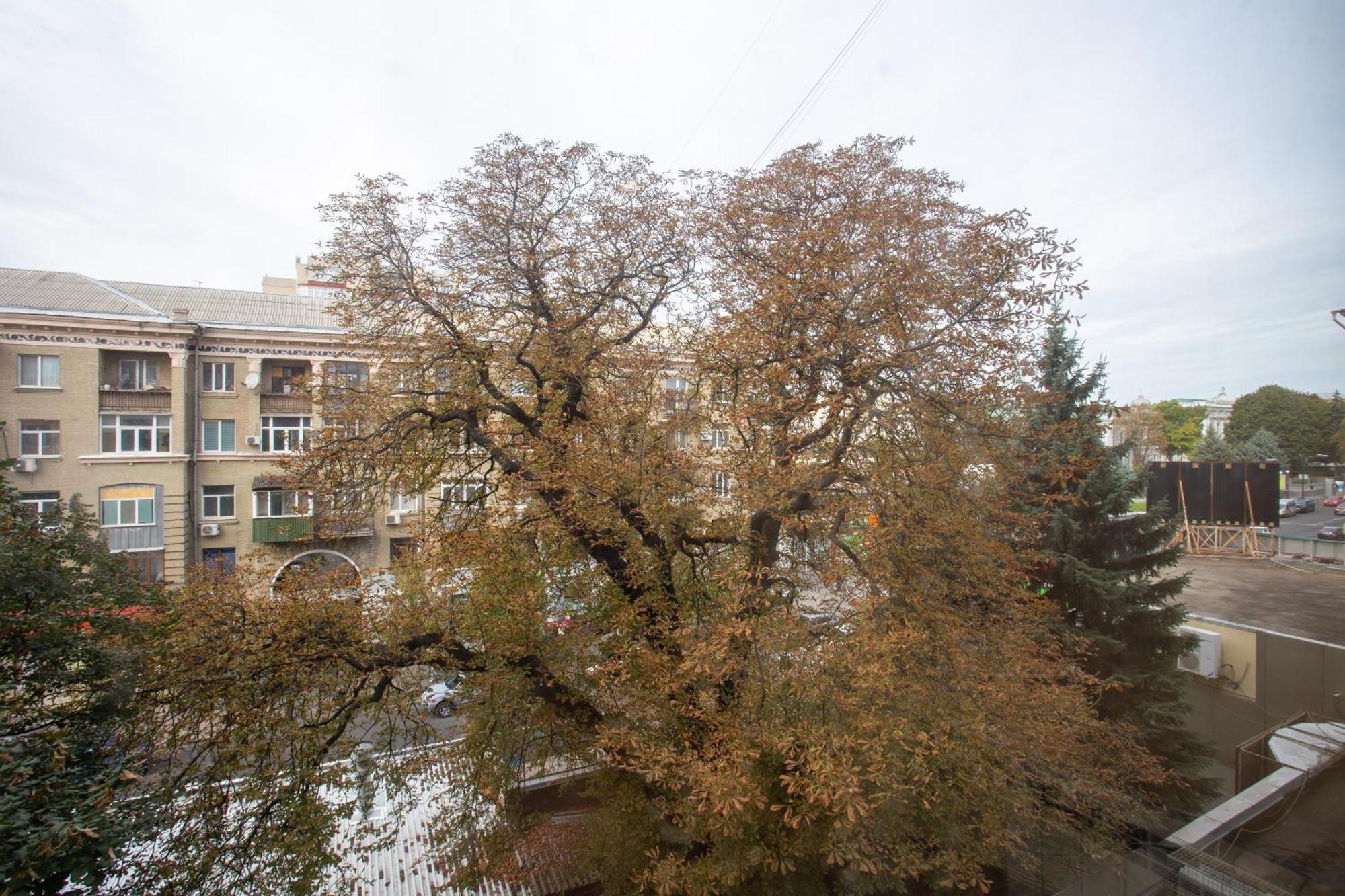 Royal Apartment On Pushkinskaya Κχαρκίβ Εξωτερικό φωτογραφία